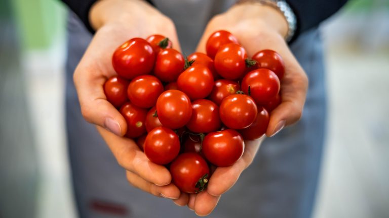 Transform Your Tomatoes Into Delicious Tomato Butter