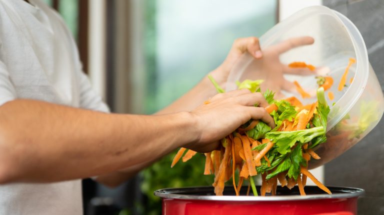 Stop Tossing Your Vegetable Scraps: Turn Them into Stocks and Broth