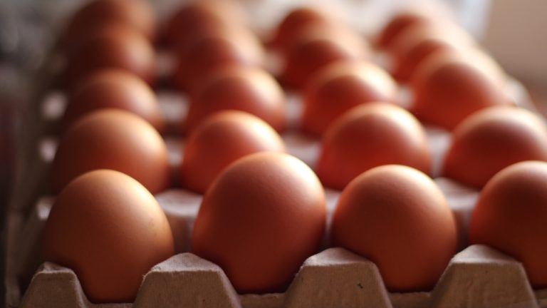 When Are Chicken Eggs Deemed Kosher?