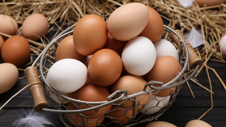 Comparing Store-Bought and Farm Fresh Eggs: What Sets Them Apart?