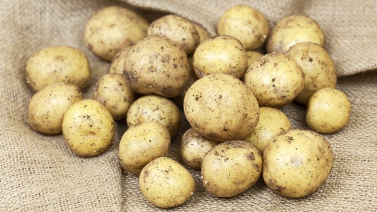 Understanding the Bruises and Blemishes on Store-Bought Potatoes (And How to Fix Them)