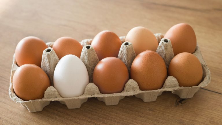 Store-Bought vs. Farm-Fresh Eggs: Which Lasts Longer?