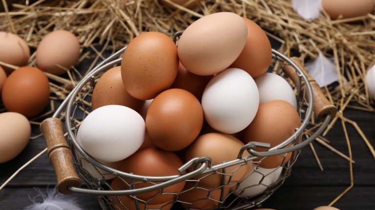 Which is More Cost-Effective: Buying Eggs or Purchasing Chickens?