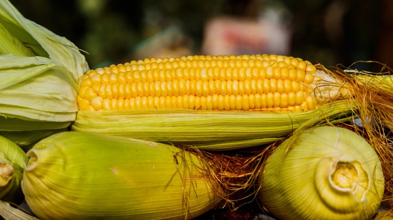 Experience Bold Flavors with Trinidadian-Style Corn on the Cob