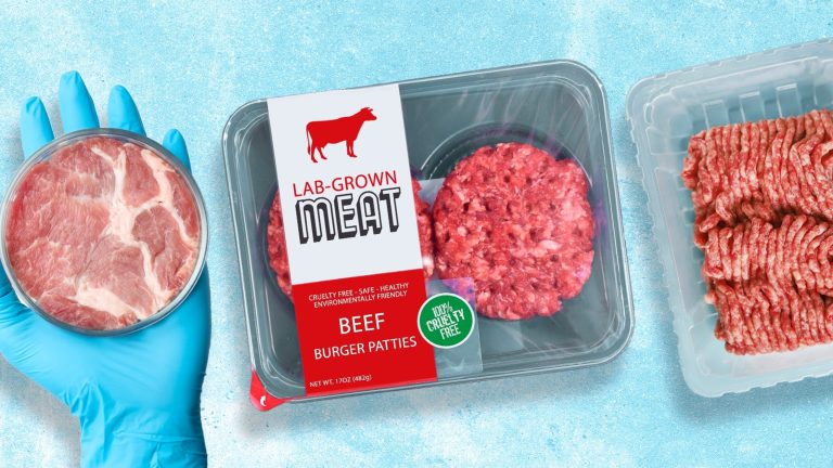 Essential Information on Lab-Grown Meat