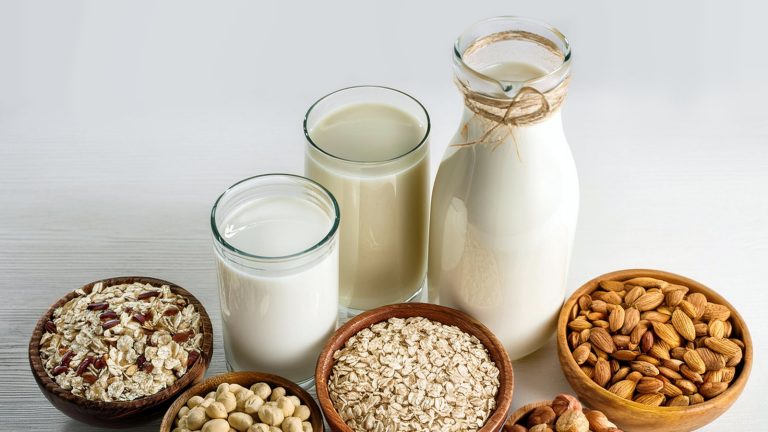 Which Plant-Based Milk Contains the Most Protein?