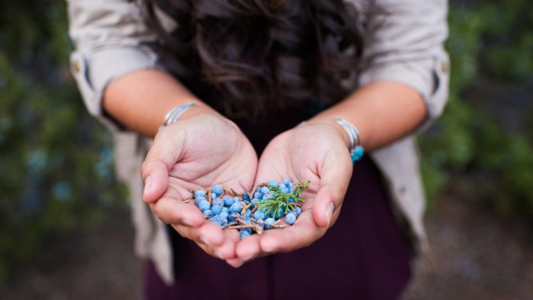 Maximize the Flavor of Fresh Juniper Berries with This Simple Trick