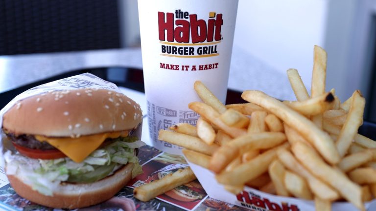 From Modest Origins to Nationwide Sensation: The Rise of Habit Burger & Grill