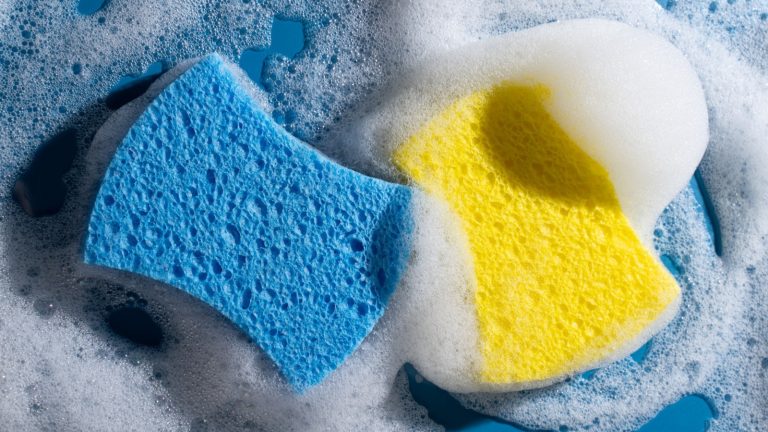 The Key to Keeping Your Sponges Cleaner for Longer