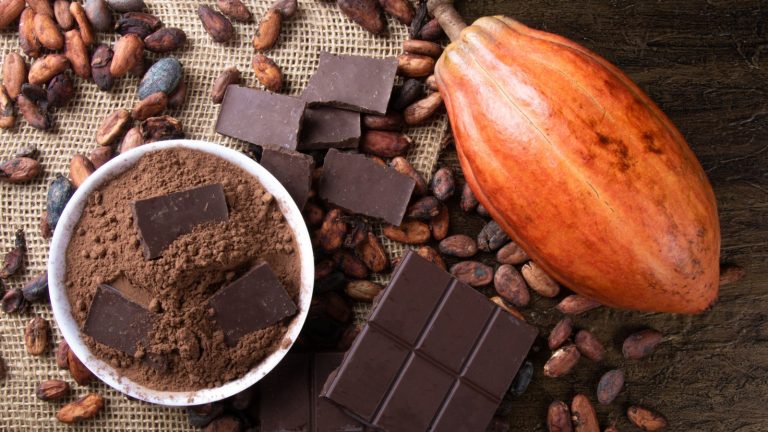 The World's Finest Dark Chocolate Made with Just 2 Ingredients
