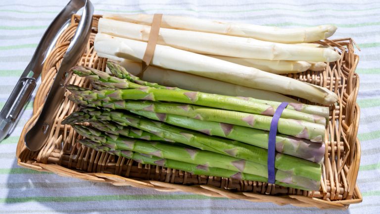 Choosing the Right Asparagus: When to Use Thin, Medium, or Thick Stalks in Recipes