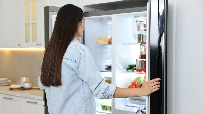 The Error of Overlooking One of Your Fridge's Best Features