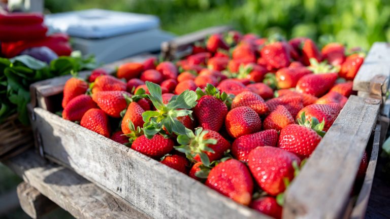The Best Way to Clean Strawberries Using Baking Soda
