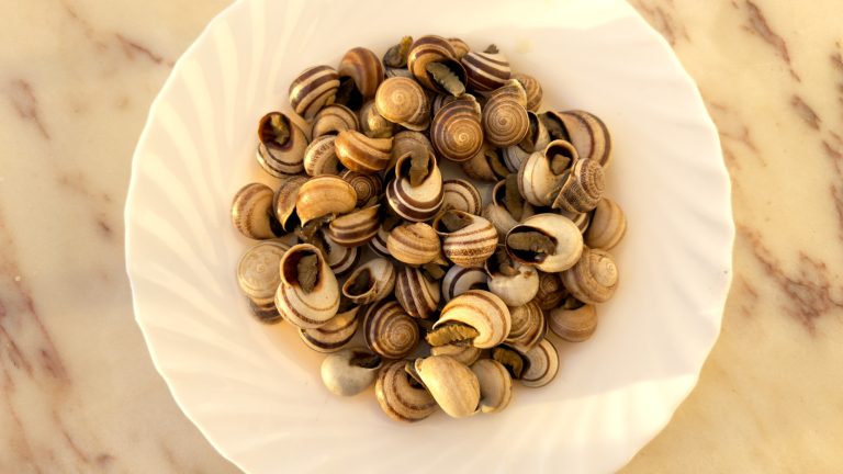 How to Easily Prepare Canned Escargot for a Fancy Meal