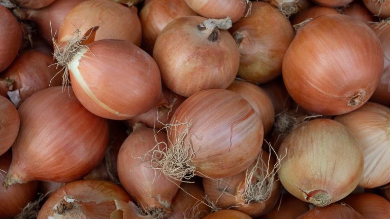The One-of-a-Kind Japanese Island That Attracts Onion Enthusiasts