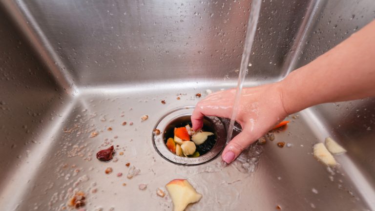 Debunking the Myth: Why Putting Eggshells in Your Disposal Isn't Safe