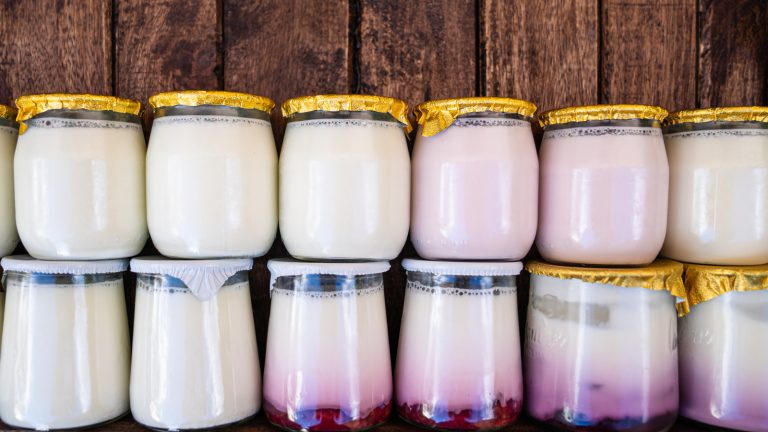 How Is French Yogurt Unique Compared to Other Types?