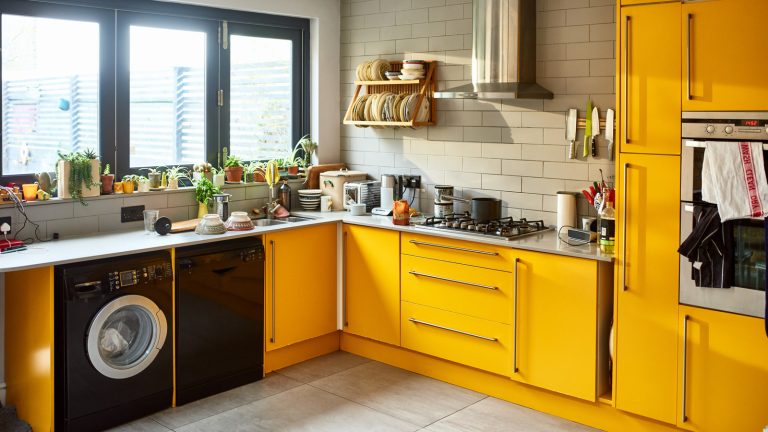 The Kitchen Countertop Appliance You Can Definitely Do Without