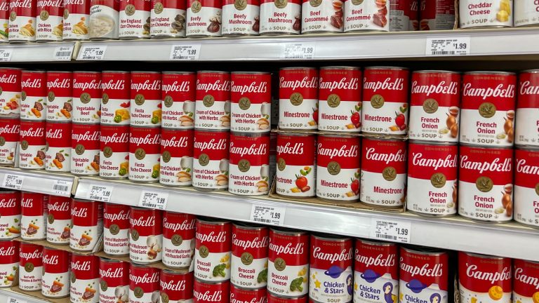 What Flavor Was Campbell's First Soup?
