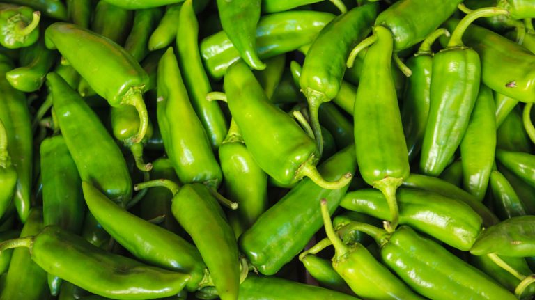 New Mexico and Colorado Chiles: What Sets Them Apart?