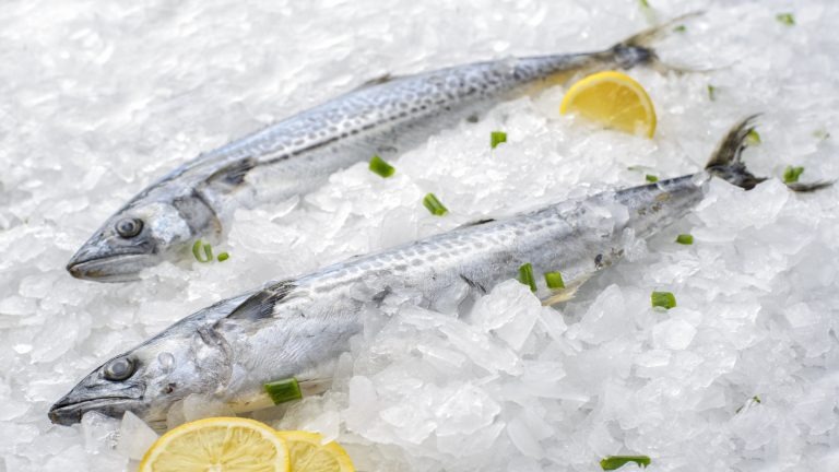 Key Considerations for Purchasing High-Quality Frozen Fish