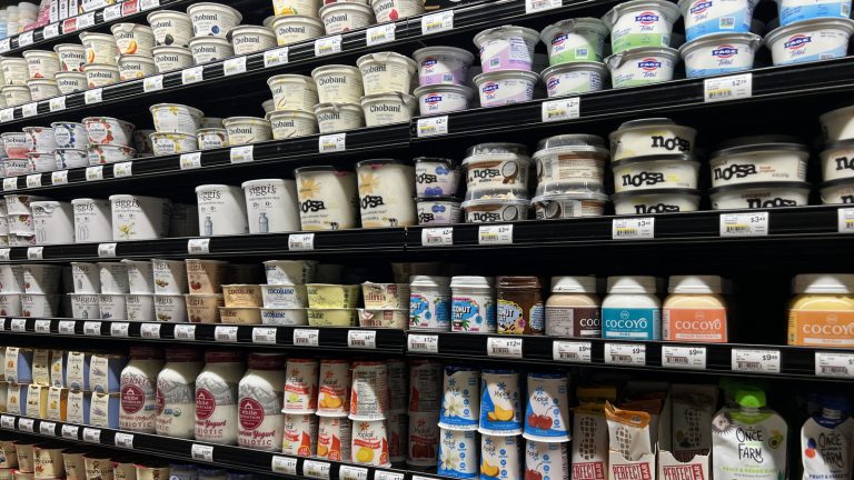 A Guide to 12 Different Types of Yogurt