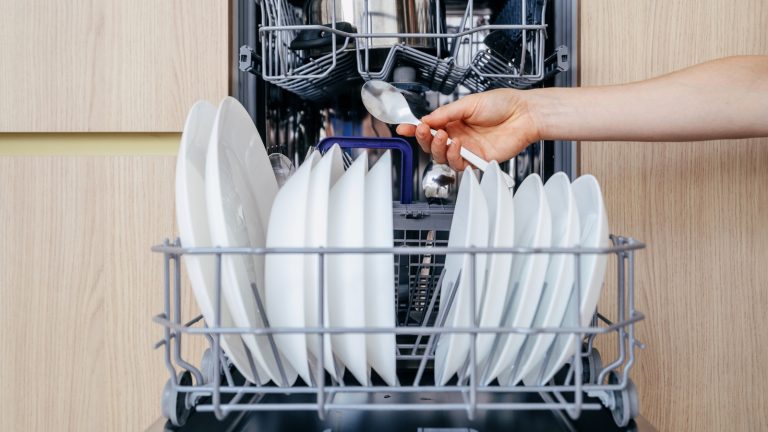 The Ideal Time to Activate Eco Mode on Your Dishwasher, According to Reddit