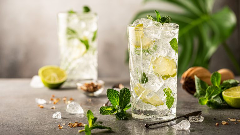 Which Rum is Best for a Mojito?