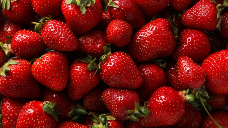 Optimal Temperature for Storing Strawberries and Preserving Their Quality