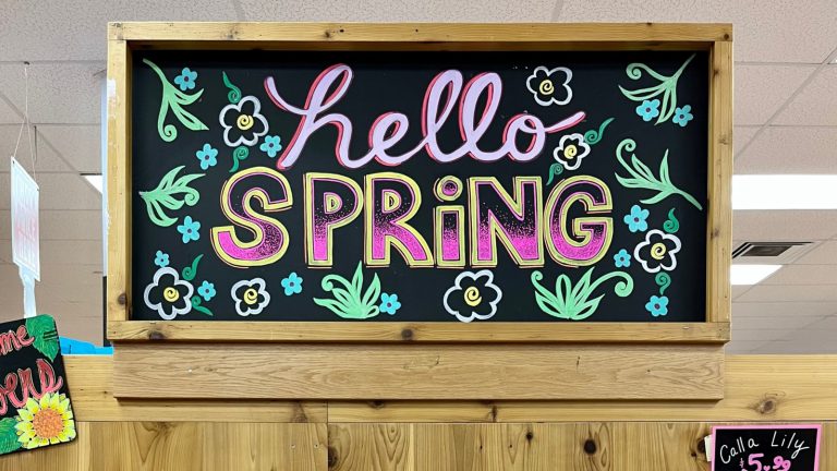 Must-Have Trader Joe's Products for Spring 2025