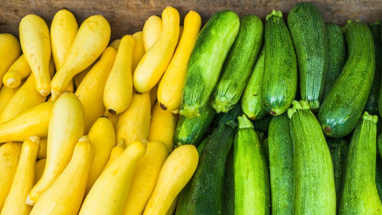 What's the Distinction Between Zucchini and Summer Squash?