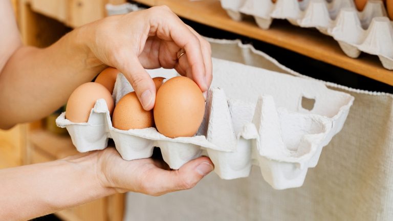Egg Cartons: A Backyard Bird's Treasure Hidden in Your Trash