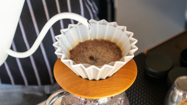 Keep Your Indoor Plants Neat and Tidy with This Coffee Filter Trick