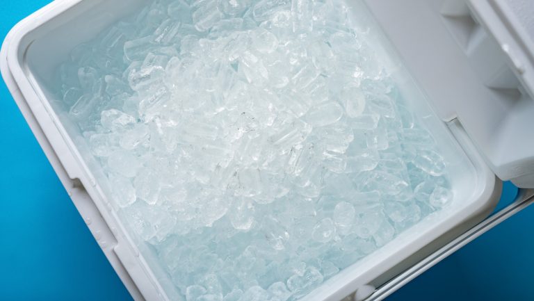 Why Burger King's Packaged Ice Is Essential for Your Backyard Gatherings
