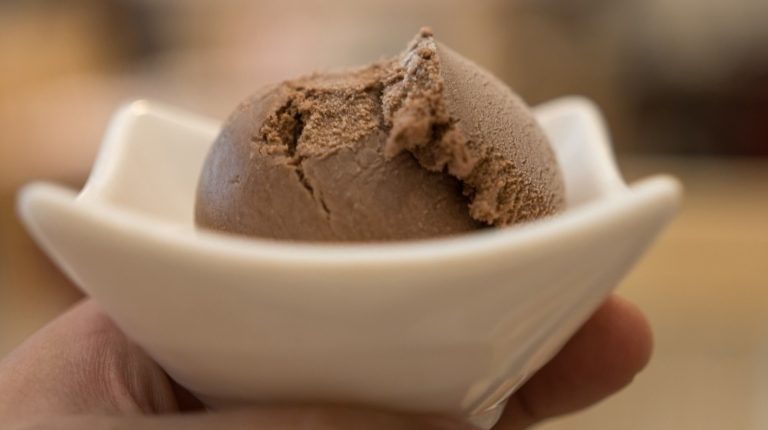Unfortunately, the Best Store-Bought Chocolate Ice Cream Isn't Available Everywhere