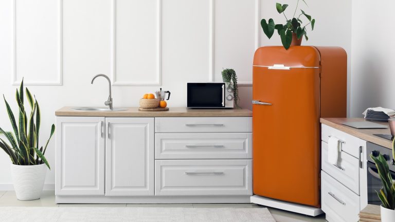 5 Brands Offering Chic Retro-Style Appliances
