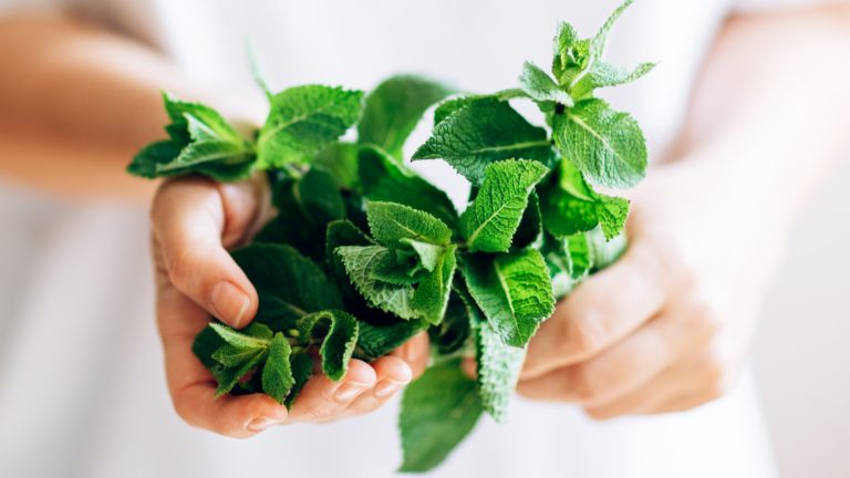 How to Garnish a Pie with Mint Without Overpowering Its Flavor