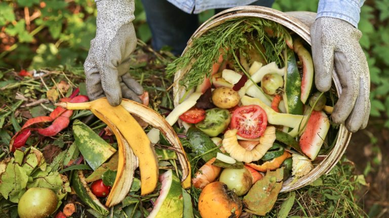 Can Fruit Scraps Help Repel Bugs from Your Patio?