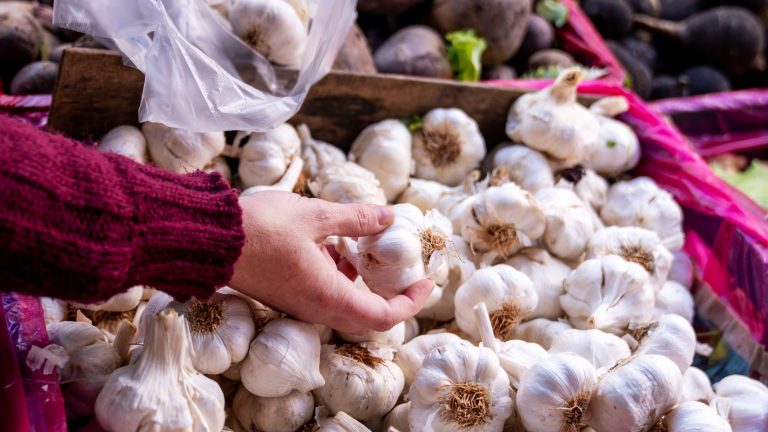 Is It Possible to Grow Your Own Garlic from Grocery Store Bulbs?