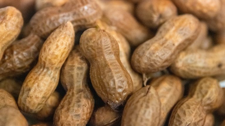 The Southern Gas Station Snack with Survival Roots