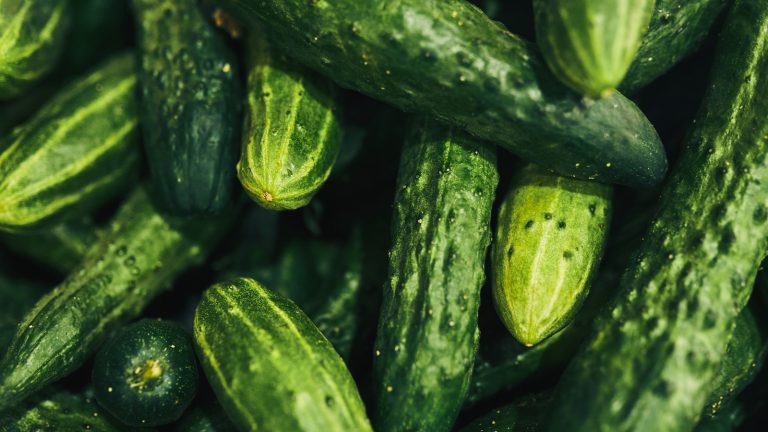 The Key Mistake to Avoid When Refrigerating Cucumbers