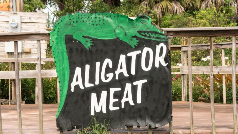 Is Alligator Classified as Meat or Seafood? Perspectives Vary