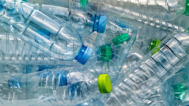 Repurpose Empty Plastic Water Bottles for Your Garden Needs