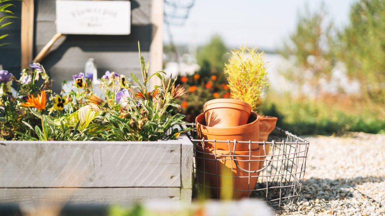 Repurpose These 5 Common Kitchen Items for Your Garden