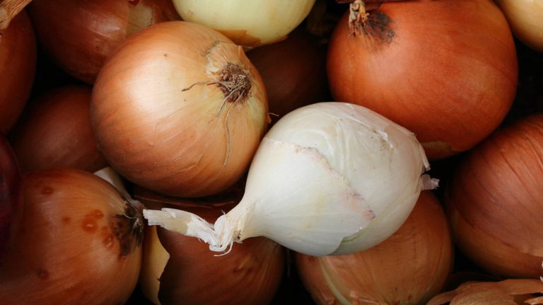 Yellow vs. White Onions: Which Variety Is the Sweetest?