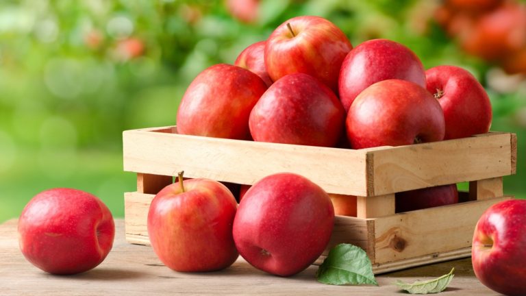 Fuji or Gala: Which Apple Variety Is Sweeter?