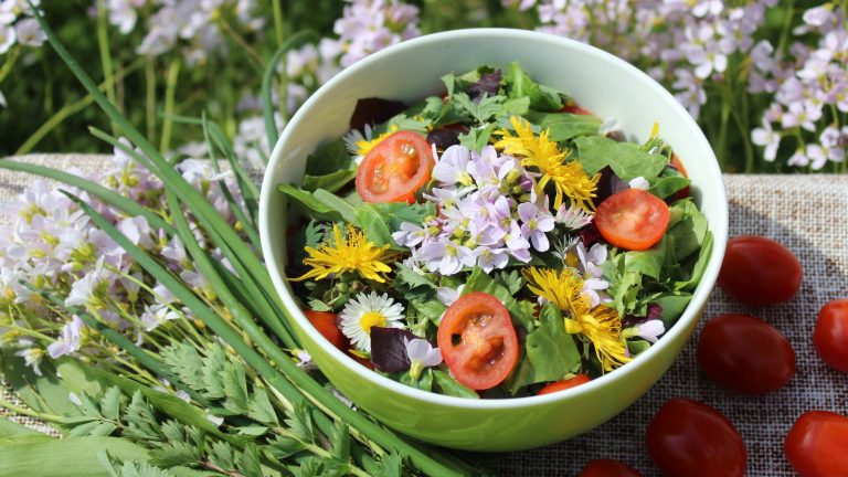 16 Edible Flowers to Cultivate in Your Garden