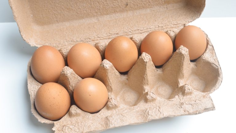 Essential Steps Before Reusing Leftover Egg Cartons for Endless DIY Projects