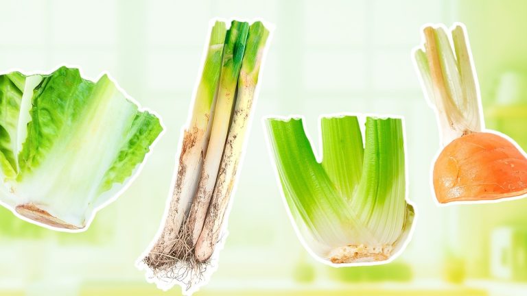 Don't Discard These 11 Vegetable Scraps—Plant Them Instead