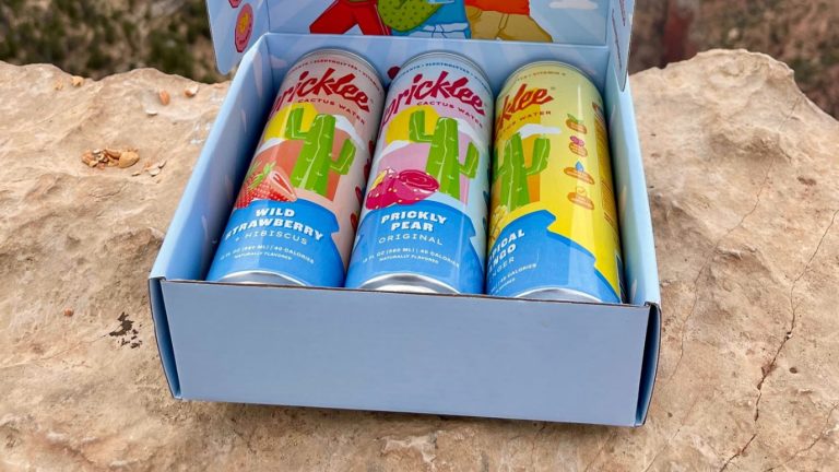 Pricklee: The Journey After Appearing on Shark Tank